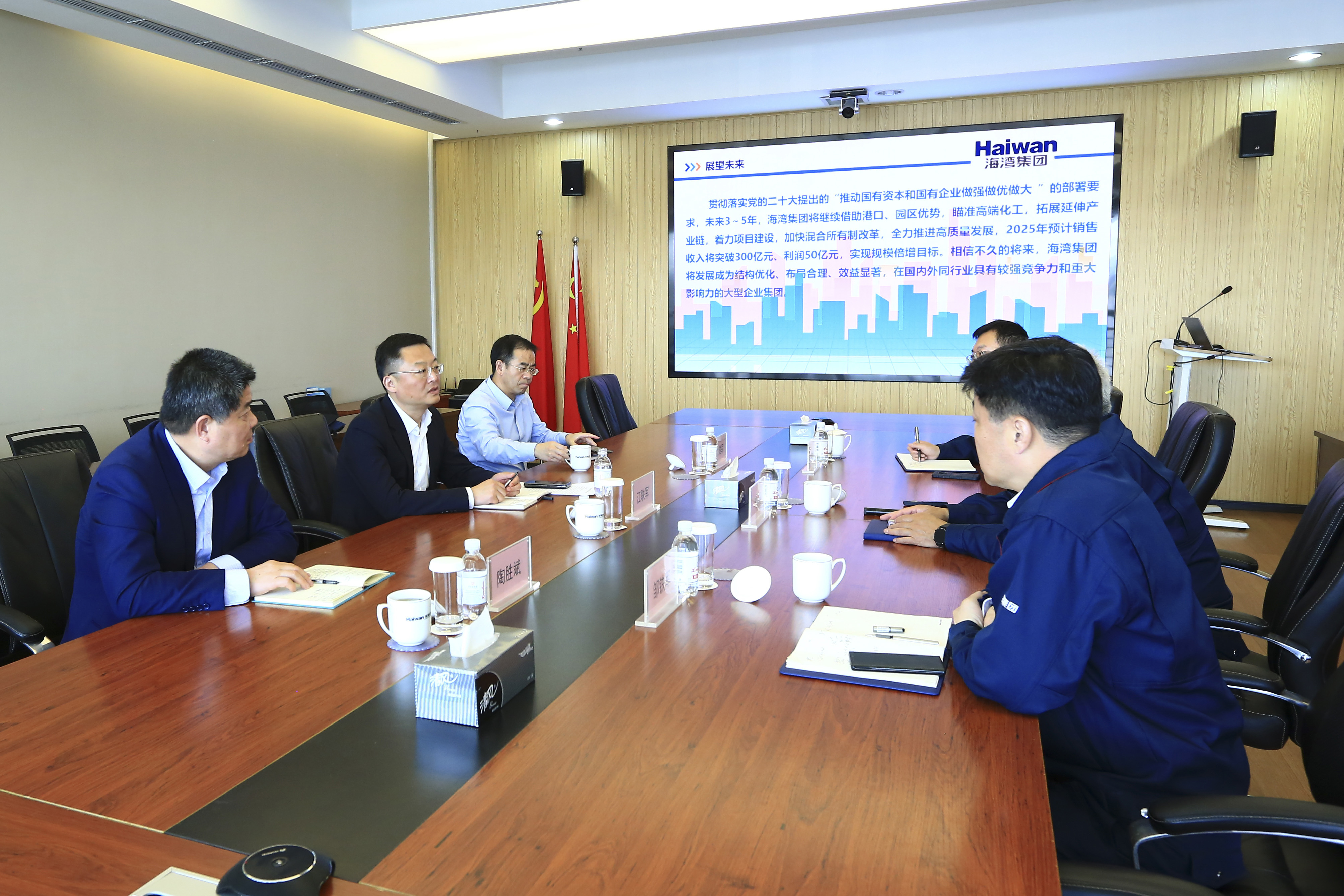 市政府(fǔ)副秘書長到海(hǎi)灣化學調研