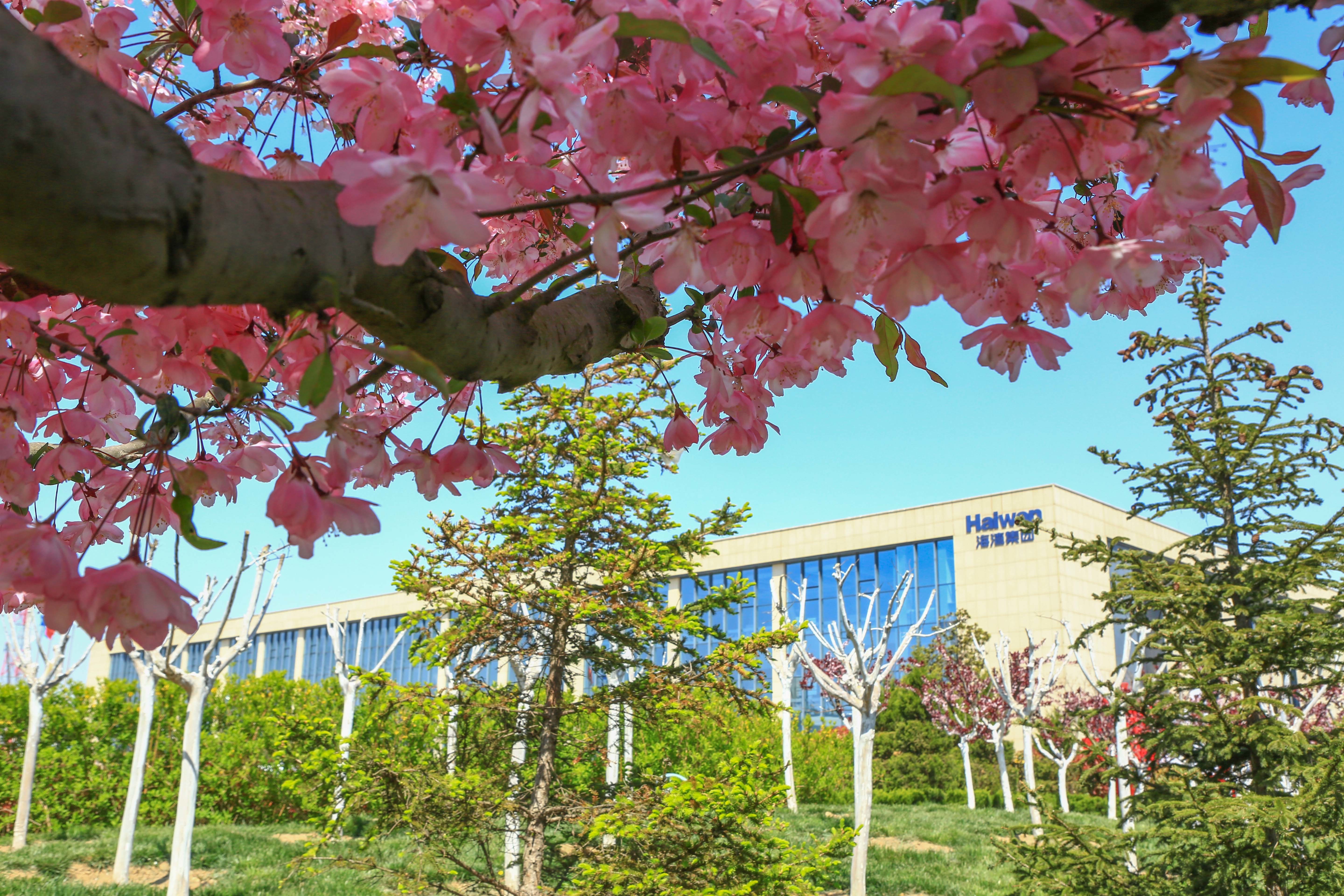 海(hai)灣化學組織(zhi)“愛心基金”捐(juan)款